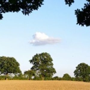 cropped-cropped-skyline_august_1600_400.jpg