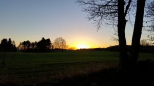 Solnedgang